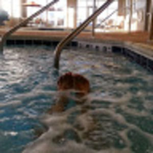 Meet your Posher, Bridget